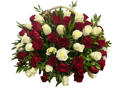 Корзина из живых роз красно-белая 80 цветов
